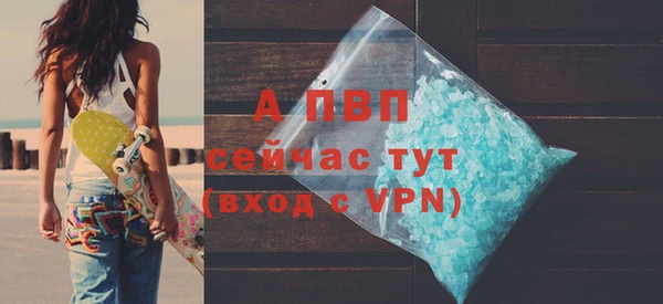 шишки Богородицк