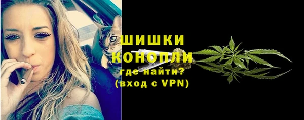шишки Богородицк