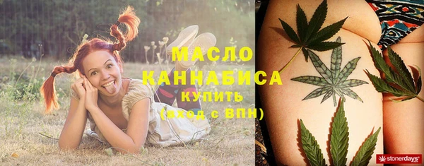 шишки Богородицк