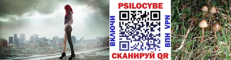 купить наркотики сайты  Краснокамск  ОМГ ОМГ зеркало  Галлюциногенные грибы Cubensis 